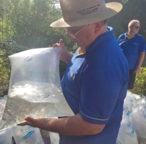 🐟 12 MIL PEIXES E UM RIO RENOVADO